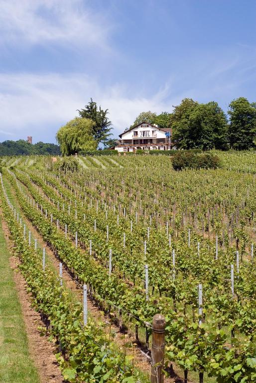 Le Clos Saint-Vincent 리보빌레 외부 사진