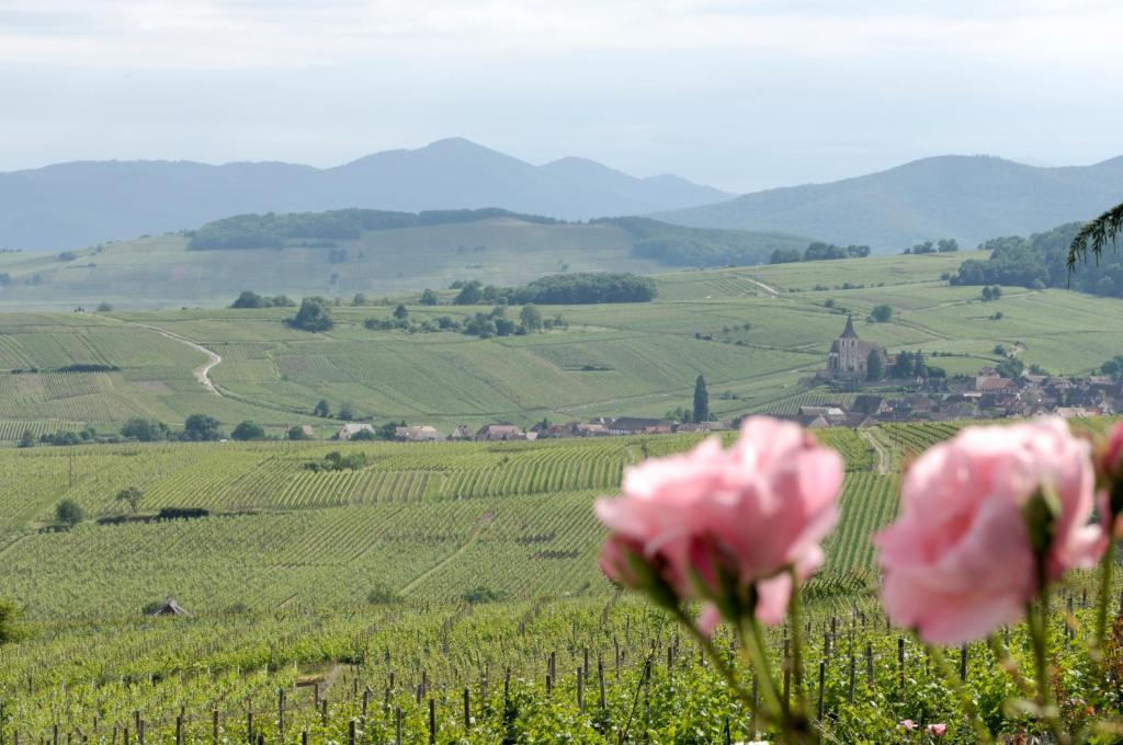 Le Clos Saint-Vincent 리보빌레 외부 사진